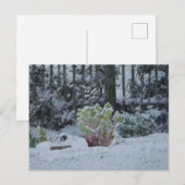 Carte postale de Rhubarbe dans la neige (Devant / Derrière)
