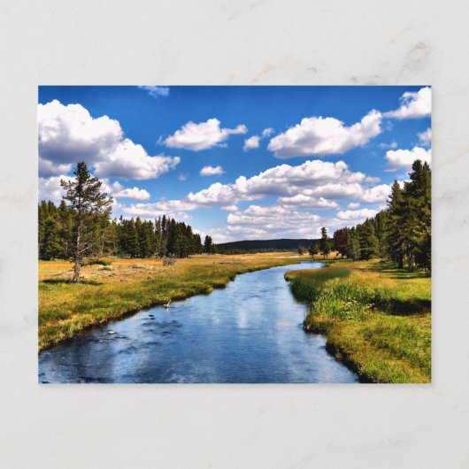 Carte postale de rivière (Devant)