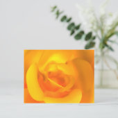 Carte postale de Rose allumée (Debout devant)