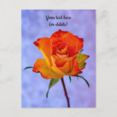 Carte postale de rose orange et jaune unique (Devant)