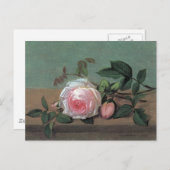 Carte postale de rose rose d'art floral fin (Devant / Derrière)
