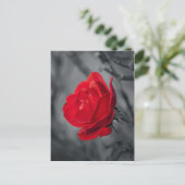 Carte postale de rose rouge (Debout devant)