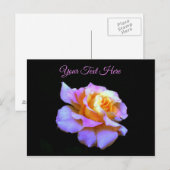 Carte postale de rose teint à la cravate rose *per (Devant / Derrière)