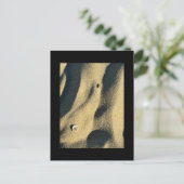 Carte postale de sable et d'ombre Shell (Debout devant)