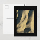 Carte postale de sable et d'ombre Shell (Devant / Derrière)