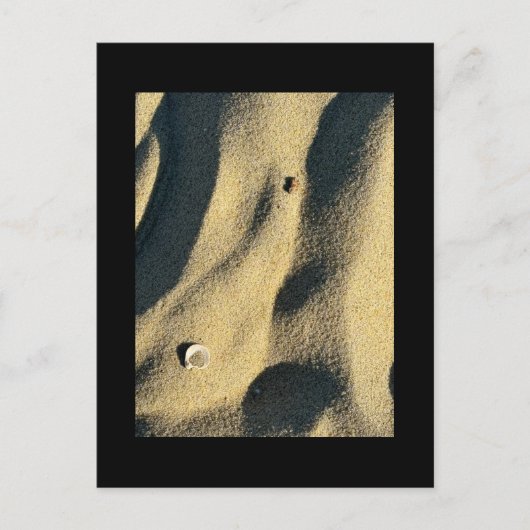 Carte postale de sable et d'ombre Shell (Devant)