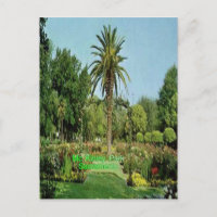 Carte postale de Sacramento de parc de Mc Kinley