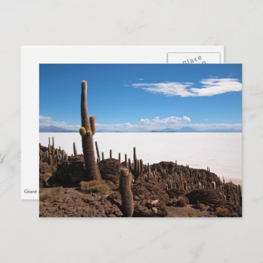 Carte postale de Salar de Uyuni (Devant / Derrière)