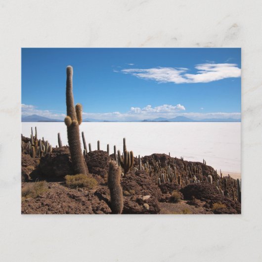 Carte postale de Salar de Uyuni (Devant)