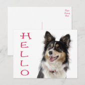 Carte postale de salutation Chien chiot Border Col (Devant / Derrière)