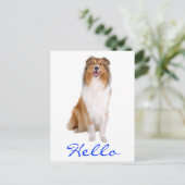 Carte postale de salutation Chien Collie chiot (Debout devant)