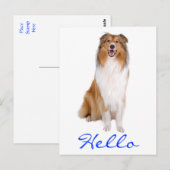 Carte postale de salutation Chien Collie chiot (Devant / Derrière)