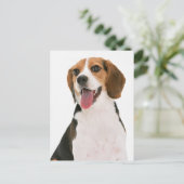 Carte postale de salutation de chiot Beagle (Debout devant)