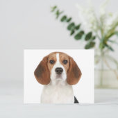 Carte postale de salutation de chiot Beagle (Debout devant)