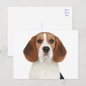 Carte postale de salutation de chiot Beagle (Devant / Derrière)