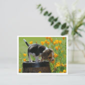 Carte postale de salutation de chiot Beagle (Debout devant)