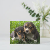 Carte postale de salutation de chiot Beagle (Debout devant)
