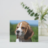 Carte postale de salutation de chiot Beagle (Debout devant)