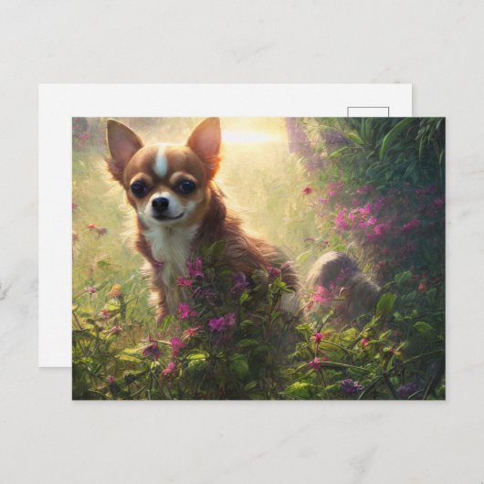 Carte postale de salutations de Chihuahua (Devant / Derrière)