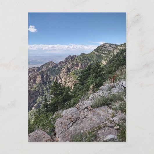 Carte postale de Sandia Peak (Devant)