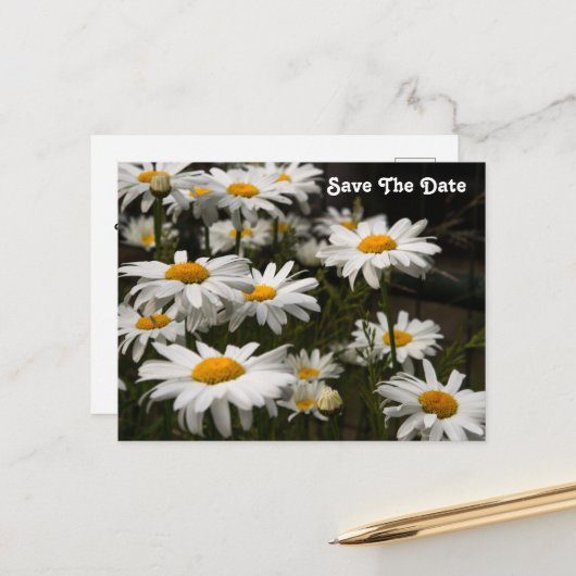 Carte postale de sauvegarde de date Daisy (Devant/Arrière en situation)