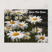 Carte postale de sauvegarde de date Daisy (Devant)