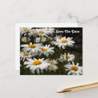 Carte postale de sauvegarde de date de Marguerite