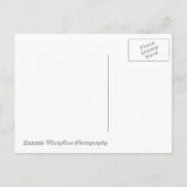 Carte postale de sauvegarde de fleurs roses (Dos)