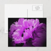 Carte postale de sauvegarde de Tournesol Magique (Devant / Derrière)