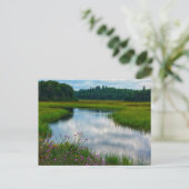 Carte postale de scène du Michigan (Debout devant)