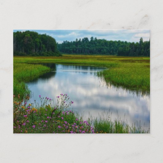 Carte postale de scène du Michigan (Devant)