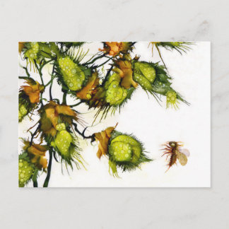 Carte postale de "scout" par JAC