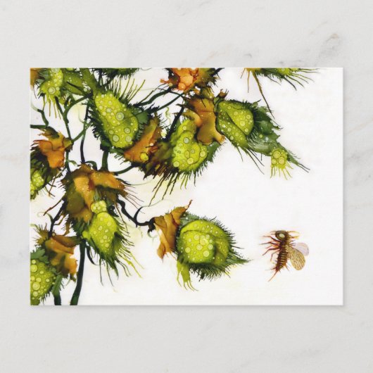 Carte postale de "scout" par JAC (Devant)