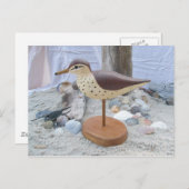Carte postale de sculpture en bois de Sandpiper "S (Devant / Derrière)