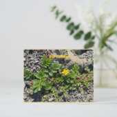 CARTE POSTALE DE SEPTEMBRE (Debout devant)