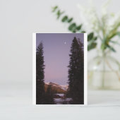 Carte postale de Sequoia (Debout devant)