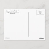 Carte postale de Sequoia (Dos)