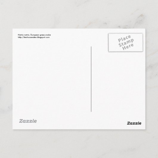 Carte postale de serpent à herbe (Dos)