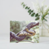 Carte postale de serpent King (Debout devant)