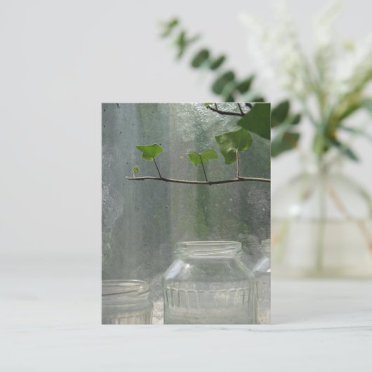 Carte postale de serres (Debout devant)