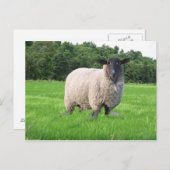 Carte postale de Sheal (Devant / Derrière)