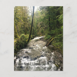 Carte postale de Short Sand Creek, Oswald West, Or