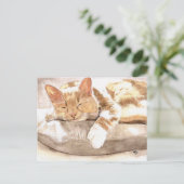 Carte postale de sieste de chat (Debout devant)
