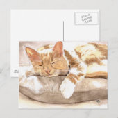Carte postale de sieste de chat (Devant / Derrière)