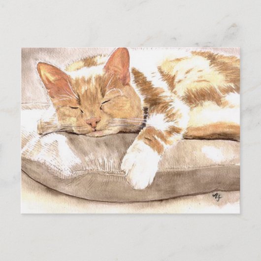 Carte postale de sieste de chat (Devant)
