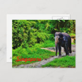 Carte postale de Singapour (Devant / Derrière)