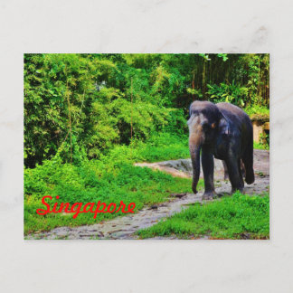 Carte postale de Singapour