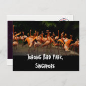 Carte postale de Singapour Travel (Devant / Derrière)