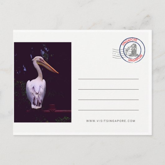 Carte postale de Singapour Travel (Dos)