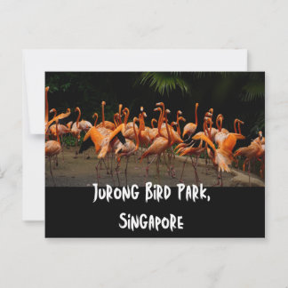 Carte postale de Singapour Travel